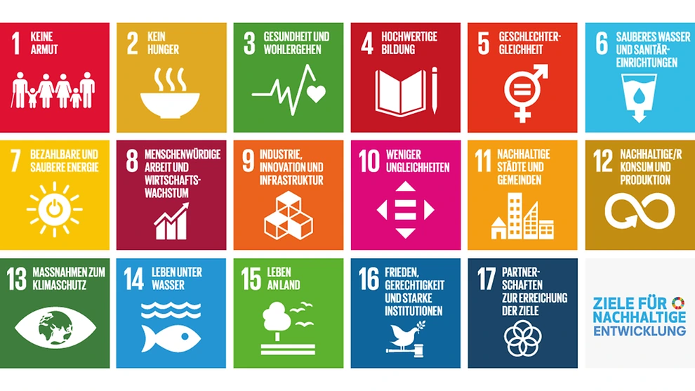 Rettet oder ruiniert KI unsere Welt? Die 17 UN-Nachhaltigkeitsziele (SDGs) 